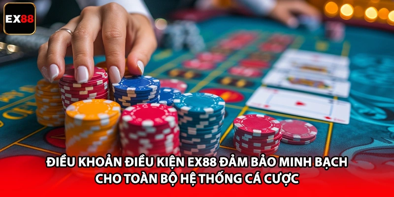 Điều khoản điều kiện EX88 đảm bảo minh bạch cho toàn bộ hệ thống cá cược