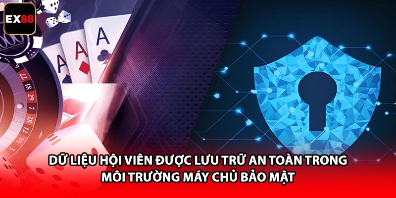 Dữ liệu hội viên được lưu trữ an toàn trong môi trường máy chủ bảo mật