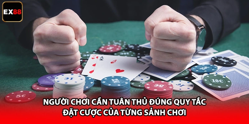 Người chơi cần tuân thủ đúng quy tắc đặt cược của từng sảnh chơi